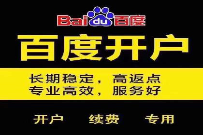 实战技巧：竞价推广案例解析与效果评估